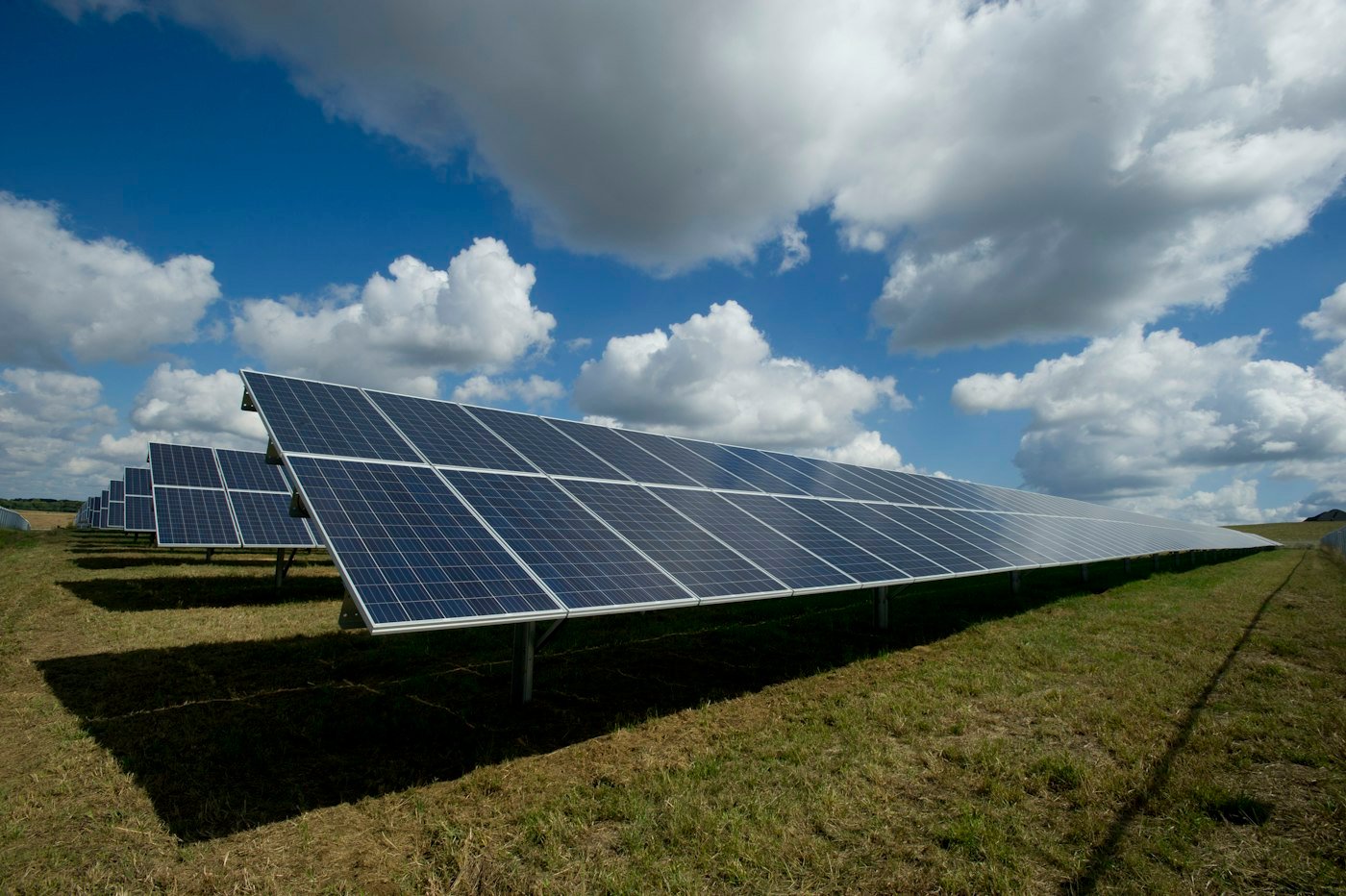 Solar panels installed in a field